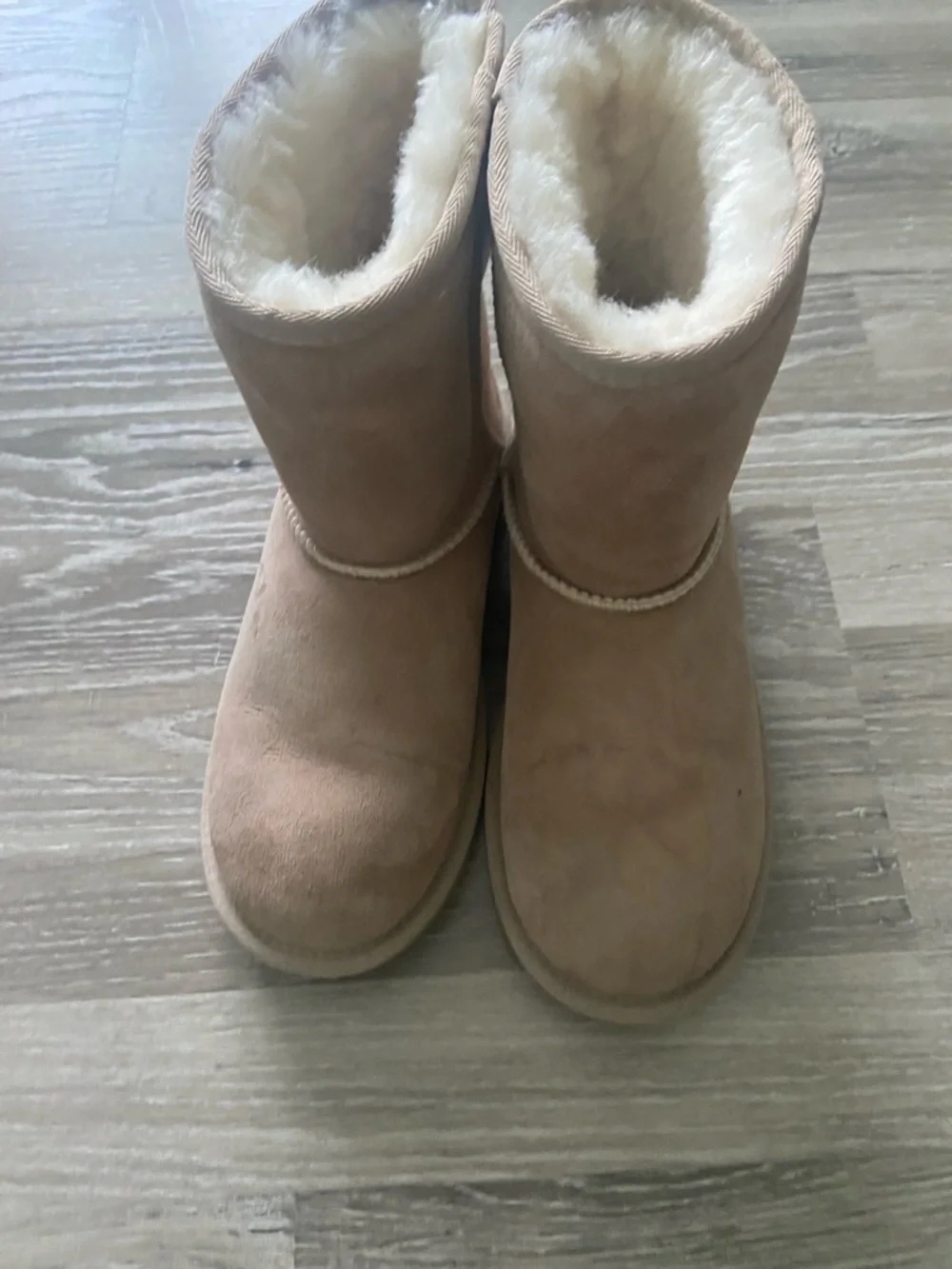 Classic Cozy Shearling-Lined UGG YOUTH SIZE 5 Boots - Chestnut